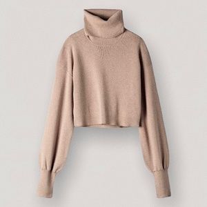 Aritzia Wilfred Rebecca Turtleneck
